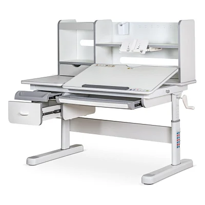 Парта Mealux Florida Multicolor Gray (Evo-52 WG + G Multicolor)